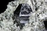 Anatase Crystal On Adularia - Hardangervidda, Norway #111420-1